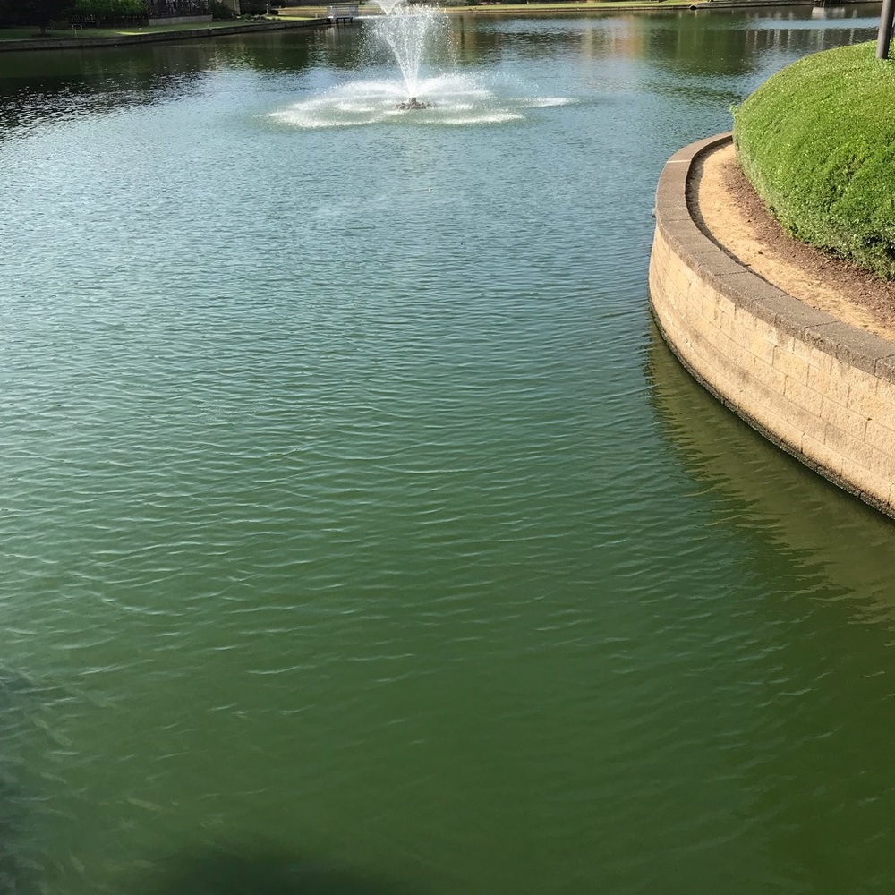 Meet your Posher, Rebekah